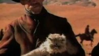 10 best SuperBowl commercials Superbowl advertisers spend millions for their few seconds in the spotlight, so they've learned that creativity and humor are the best way to capture the audience's attention as seen in these super bowl commercials.