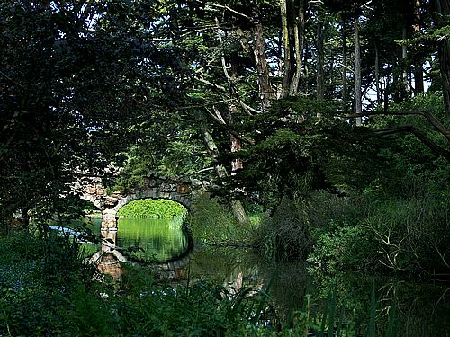 Golden Gate Park Stow Lake