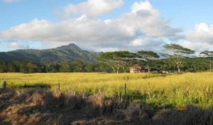 Silver Falls Ranch Kauai Hawaii