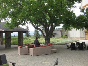 Paraduxx Winery