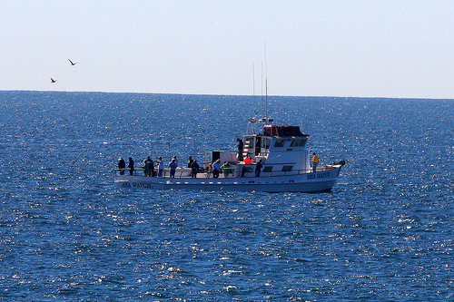 San Diego Fishing