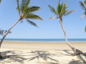 Tropical Destination in Aruba