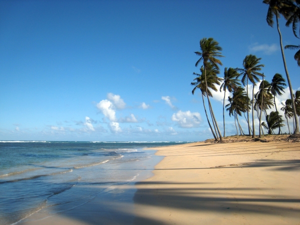 Dominican Republic Punta Cana Beach