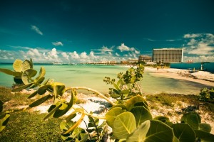 Aruba Beach Hotels